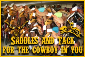 Saddles and Tack